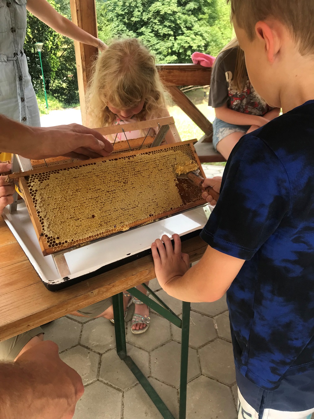 ferienspiel imker3